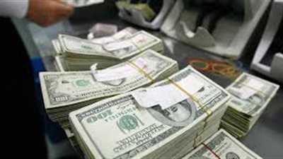 200 مليار دولار حجم تدفقات النقد الأجنبى لمصر منذ تعويم الجنيه