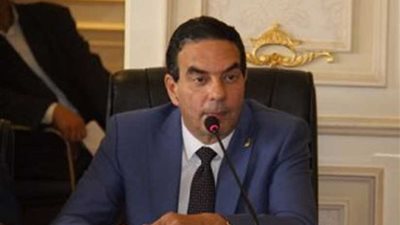 رئيس برلمانية 