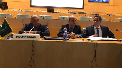 الشركاء الإقليميين يدعون إلى استئناف الحوار واحترام حقوق الإنسان والحريات بالسودان