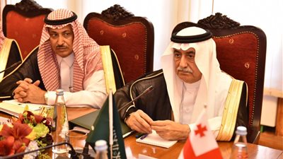 رئيس وزراء جورجيا يبحث مع وزير الخارجية تعزيز العلاقات بين البلدين