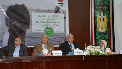 الأوقاف والكنيسة بالدقهلية.. ختان الإناث عادة موروثة وليست من الدين (صور)