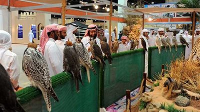 السعودية تشارك في معرض أبوظبي الدولي للصيد والفروسية