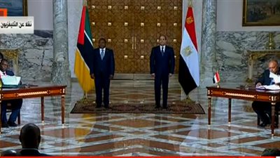 السيسي ونظيره الموزمبيقي يشهدان التوقيع على عدد من مذكرات التعاون (فيديو)