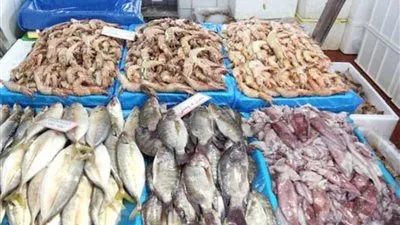 ارتفاع أسعار الأسماك بنسبة 50% في سوق الأحساء