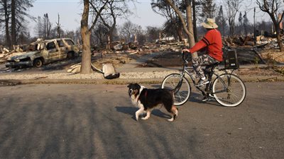 زلزال بقوة 5.6 ريختر يضرب منطقة سكنية في شمال كاليفورنيا