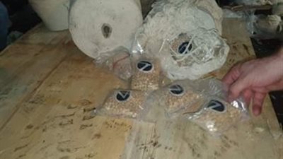 إحباط محاولة تهريب 20 مليون قرص مخدر بميناء دمياط (صور)