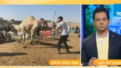 الخدمات البيطرية عن تعذيب جمال 