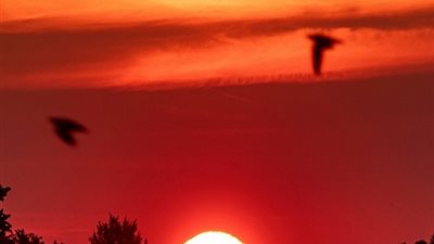 موجة حارة شديدة تضرب باريس الأسبوع الجاري