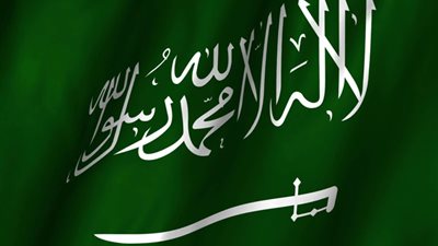 المملكة تشارك في ورشة عمل 