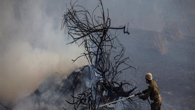 إسرائيل تمنع إمدادات الطاقة عن غزة عقب إطلاق البالونات الحارقة