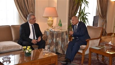 أبو الغيط والمبعوث الأمريكي يبحثان حل الأزمة بالسودان