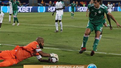 صور مباراة الجزائر والسنغال في كأس أمم إفريقيا بكاميرا الفجر الرياضي