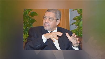  إبراهيم العربي: السيسي وعد بحل أي مشاكل توجه المستثمرين اليابانيين
