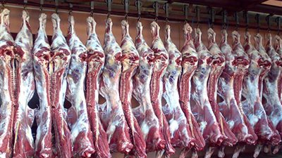 9 قنوات لشراء سندات لأضاحي حج هذا العام