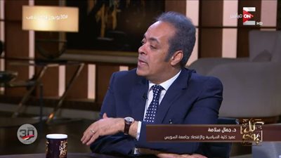  جمال سلامة: سياسة 