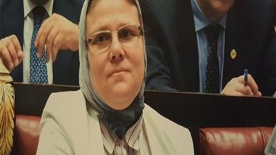 برلمانية تتقدم بطلب إحاطة حول قيام جهاز مدينة القاهرة الجديدة بتخطيط الشوارع بصورة خاطئة 