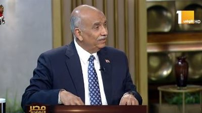 نصر سالم: لم يتمزق النسيج الوطني رغم الهجمات الإرهابية