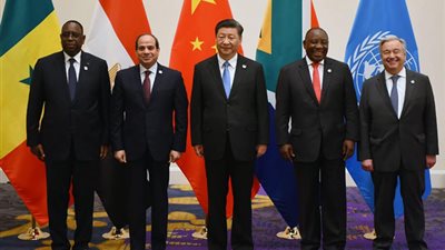 حصاد مشاركة 