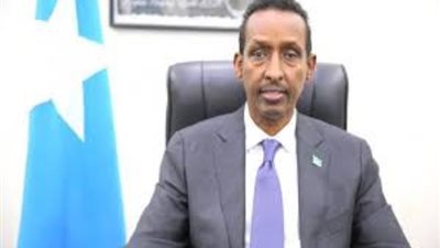 الصومال يقطع العلاقات الدبلوماسية مع غينيا 