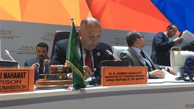 نص كلمة مصر في الجلسة الافتتاحية للمجلس التنفيذي للاتحاد الأفريقي