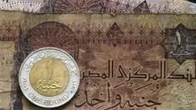 خبيرة: انخفاض أسعار 