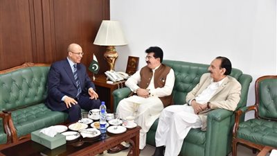 السفير المصري في باكستان يلتقي برئيس مجلس الشيوخ وزعيم المعارضة