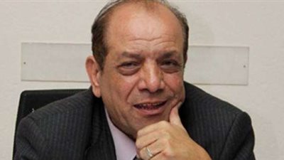 عضو الهيئة الوطنية للإعلام: لدينا قناة موجهة للمصريين بالخارج