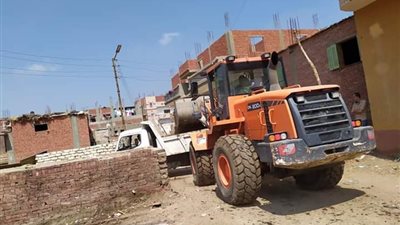 حملة نظافة مكبرة بمركز القصاصين في الإسماعيلية