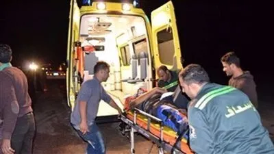 بسبب عربة كارو.. مصرع ربة منزل على إثر مشاجرة في المنيا 