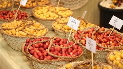 الشارقة تستكمل استعداداتها لإطلاق النسخة الرابعة من 