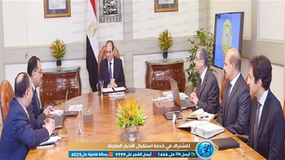 عاجل.. السيسي يجتمع مع مدبولي ووزراء الكهرباء والمالية‎