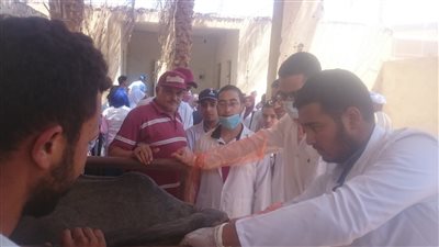 قوافل جامعة سوهاج البيطرية تفحص 2000 حيوان بقريتي الكوامل والحواويش