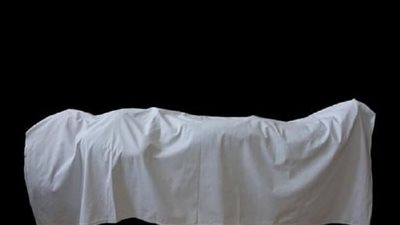 حقيقة عودة سيدة للحياة بعد دفنها بالشرقية