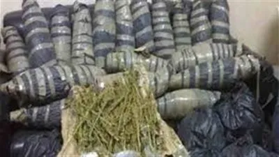 ضبط عناصر إجرامية وبحوزتهم 20 لفافة بانجو بالدقهلية