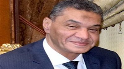 إحباط تهريب تمثال أثري في كمين بالشرقية  