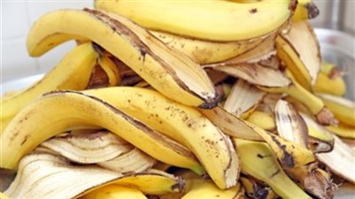 من قشر الموز.. طلاب ينتجون فوط صحية للسيدات بتكاليف أقل 70%