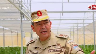 الوطنية للزراعات المحمية: الأولوية للسوق المحلي.. ومنتجاتنا آمنة