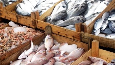 أسعار السمك في سوق العبور اليوم الأربعاء 17-7-2019