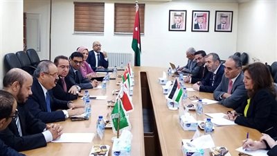 تشكيل لجنة فنية لبحث جدوى الربط الكهربائي الخليجي بأوروبا عبر الأردن ومصر
