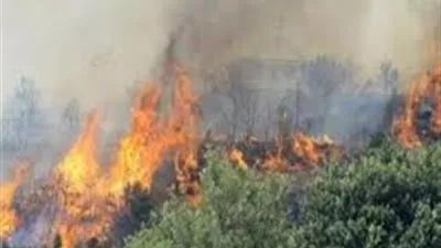 لطردهم منها.. ضبط 3 حرقوا مزرعة خيول في الغردقة