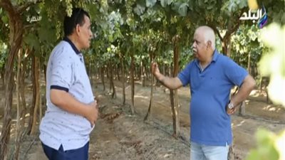 براتب 5 آلاف جنيه.. وكيل وزارة الزراعة بجنوب سيناء يعلن عن وظائف خالية