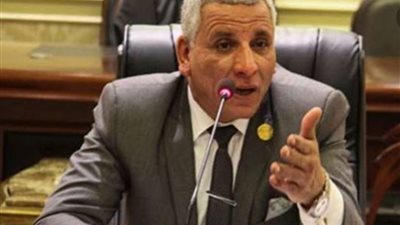 بعد إعلان تطبيقة ٢٠٣٢.. أمين سر قوى البرلمان يكشف مزايا وعيوب رفع سن المعاش لـ٦٥ عامًا