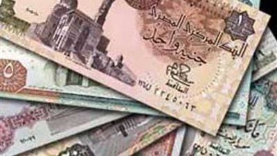 إبراهيم مصطفى: إجراءات الإصلاح الاقتصادي والمالي انعكست على وضع العملة المحلية