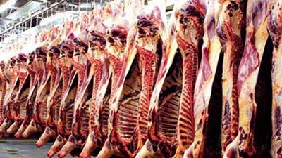 نقابة الفلاحين تزف بشرى سارة للمواطنين بشأن لحوم الأضاحي (فيديو)