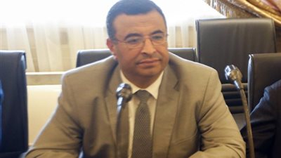 نائب عن كفر الشيخ: هناك طفرة في القطاع الصحي بالمحافظة