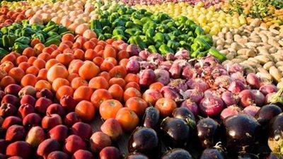 الزراعة: ارتفاع صادرات مصر الزراعية لـ أكثر من 4.4 مليون طن