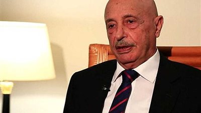 عقيلة صالح يقدم التعازي لرئيس مجلس النواب التونسي