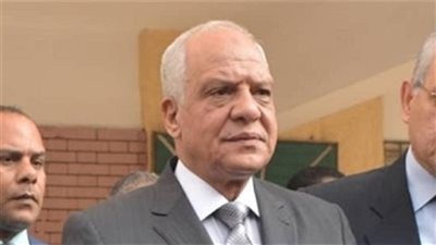 محافظ الجيزة يتفقد حالة الرصف والإنارة بعدد من المحاور المرورية‎