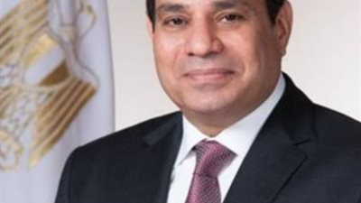 برلماني عن مؤتمرات الشباب: الرئيس السيسي حريص على النهوض بأجيال المستقبل