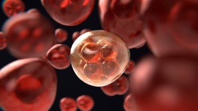 خبراء يتوقعون 